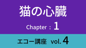 Heart-02Koza04
