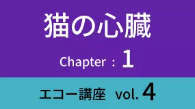 Heart-02Koza04