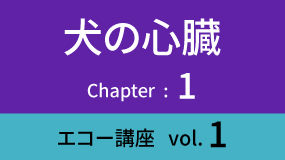 Heart-03Koza01