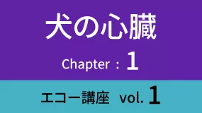 Heart-03Koza01