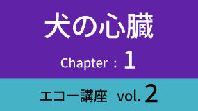Heart-03Koza02