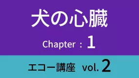Heart-03Koza02