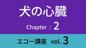 Heart-03Koza03