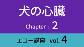 Heart-03Koza04