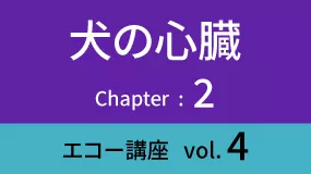 Heart-03Koza04