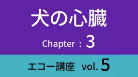 Heart-03Koza05