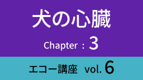 Heart-03Koza06