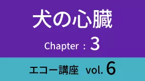 Heart-03Koza06