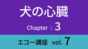Heart-03Koza07