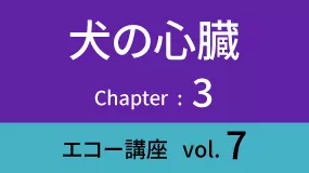 Heart-03Koza07