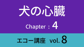 Heart-03Koza08