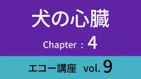 Heart-03Koza09