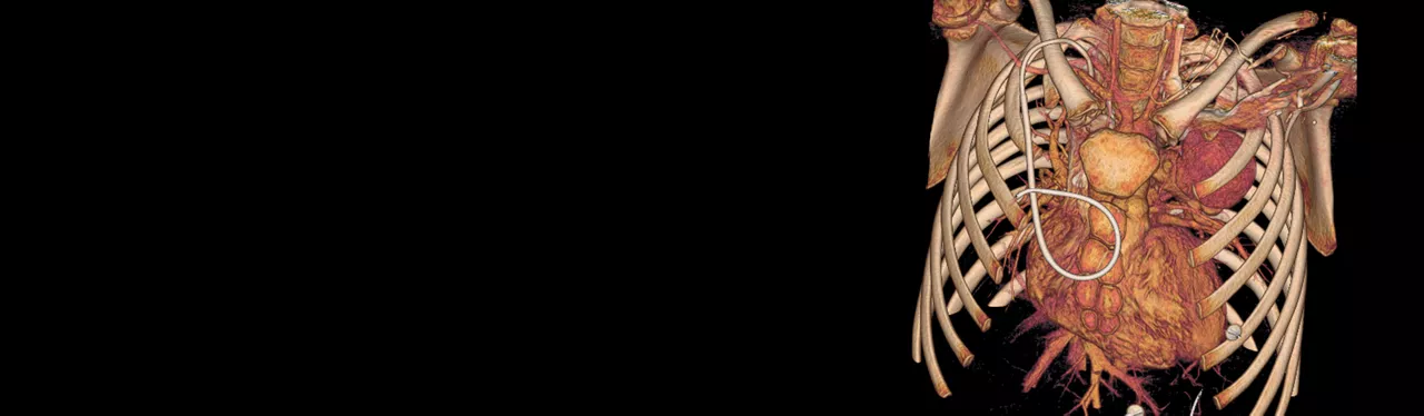 HERO_ImagingBanner_notext_1920x560