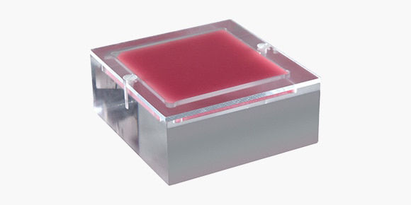 <p>Mammography phantom</p>
