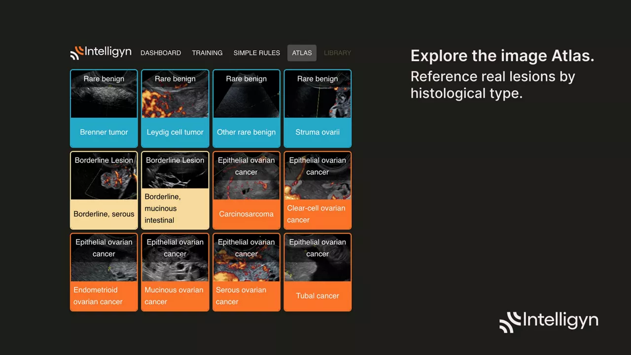Product Media Carousel Image