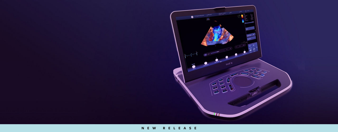 iq-hero-desktop