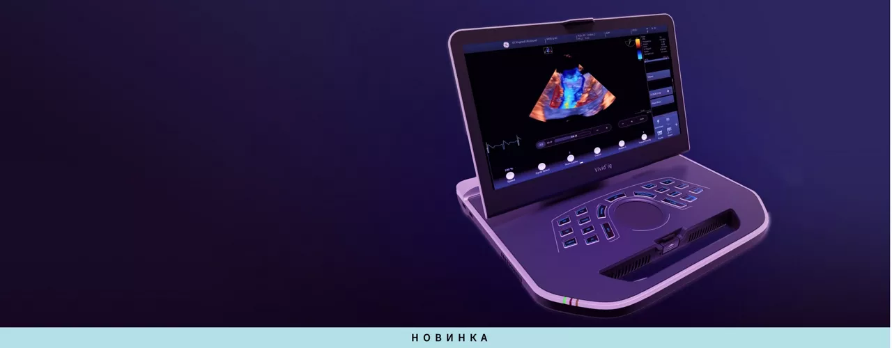 iq-hero-desktop