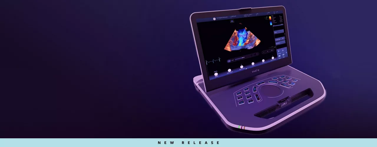 iq-hero-desktop