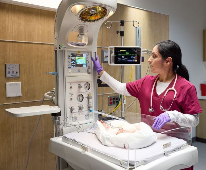 ldpanda-warmercarescape-one2031-resized