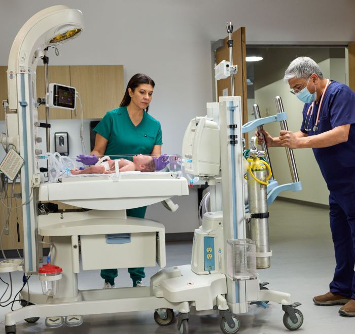 <p>Giraffe Shuttle</p>
