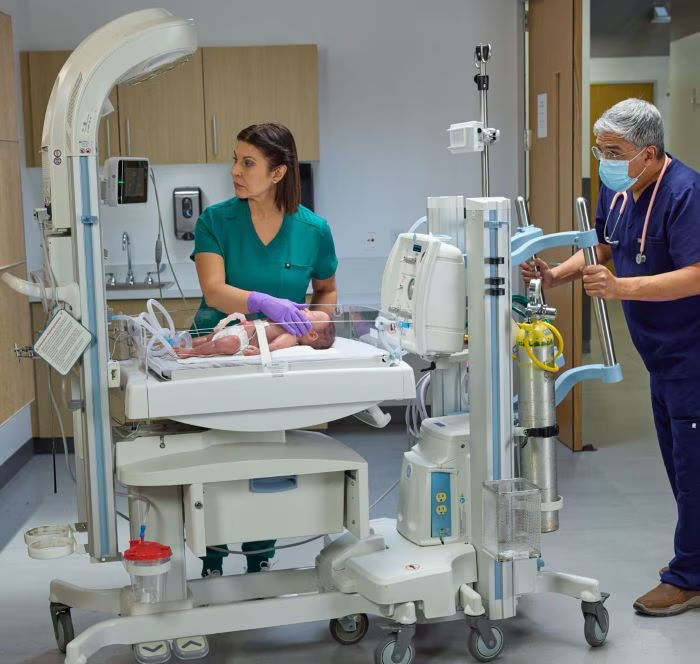 ldpanda-warmergiraffe-shuttlecarescape-one3248-cropped