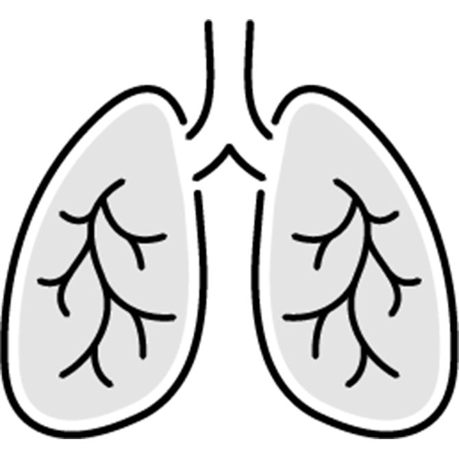 Lung