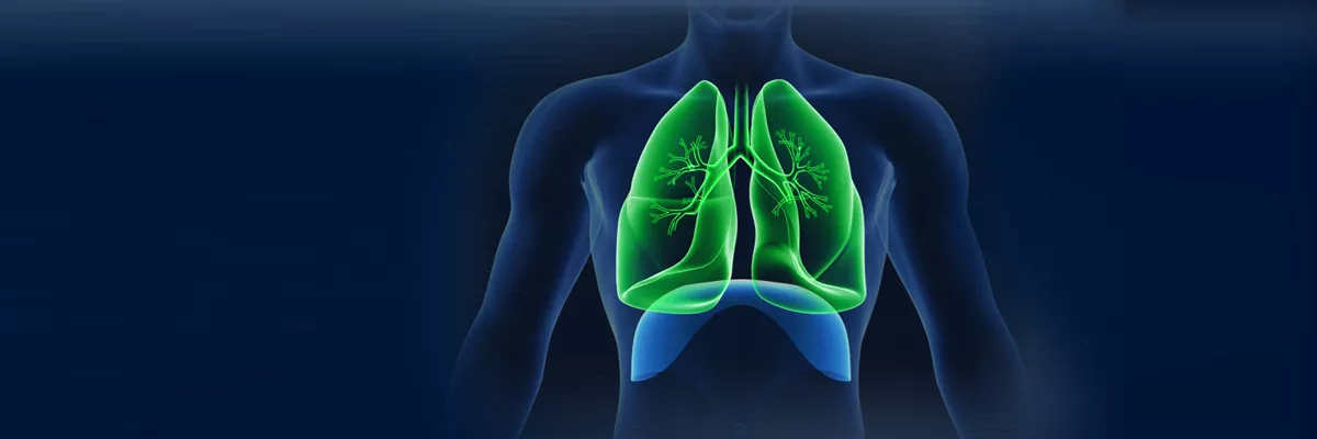 Lung1