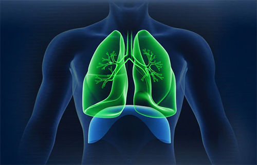 LungProtection_thumb2
