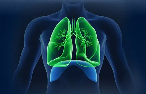 LungProtection_thumb2