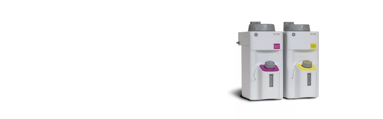 Main Image v1