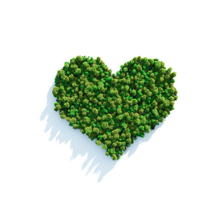 mammography-FeatureCardFull-1-ci-en