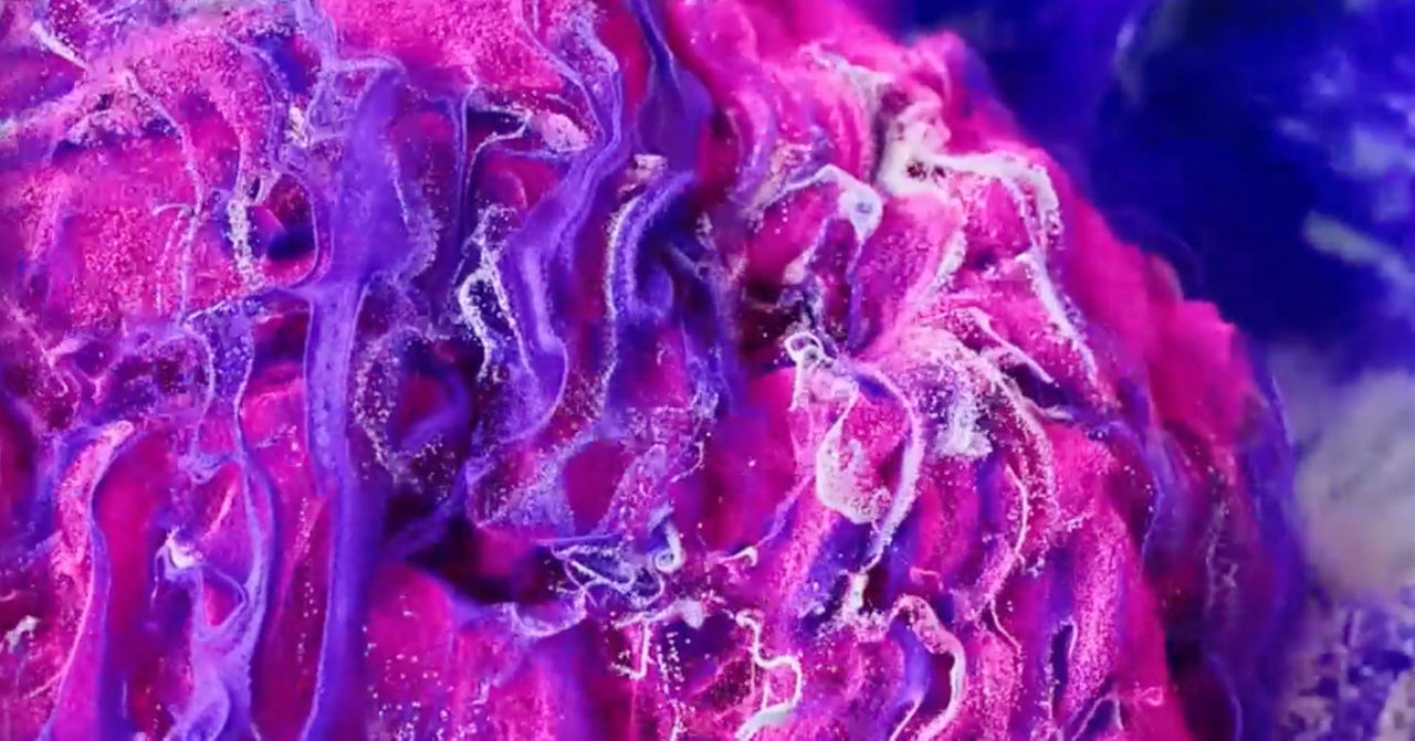 content card image