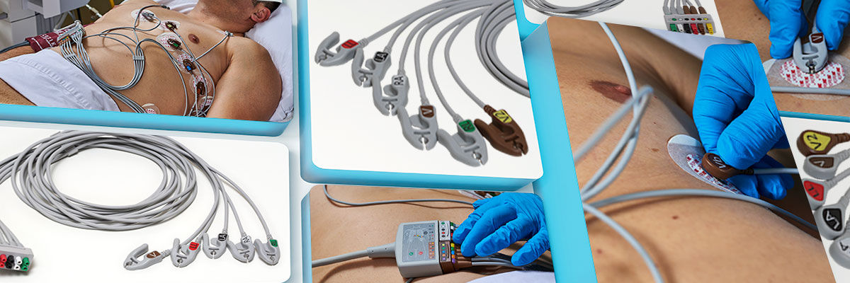 MS-ECG-2-Desktop-1200x400-banner