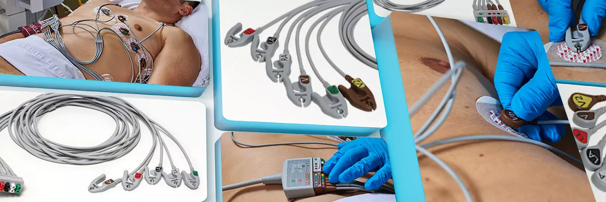 MS-ECG-2-Desktop-1200x400-banner