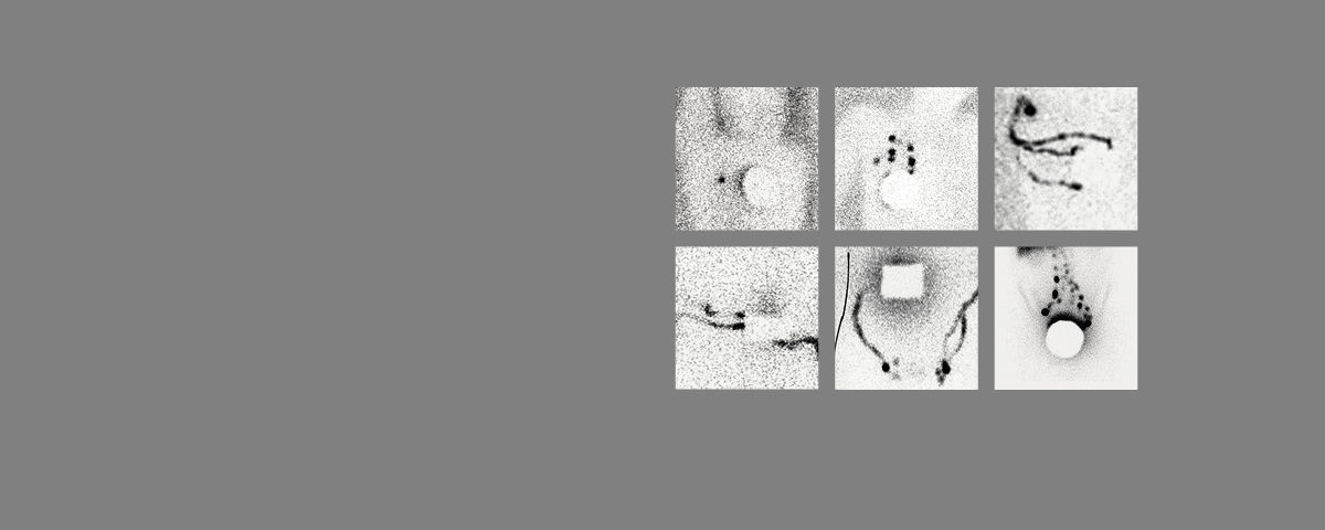 NANOCOLL-Produkt-oben-Web-nF50-1200x480-RZ