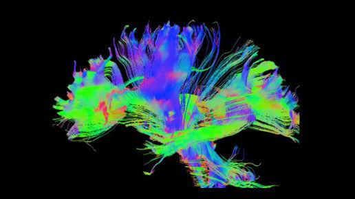 neuro-fh-desktop