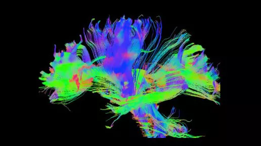 neuro-fh-desktop
