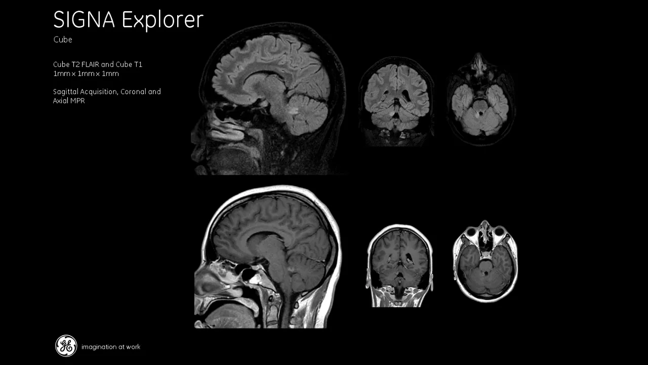 Neuro_Cube_Explorer1
