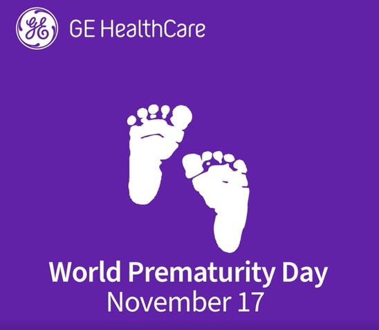 new-nordics-image 12