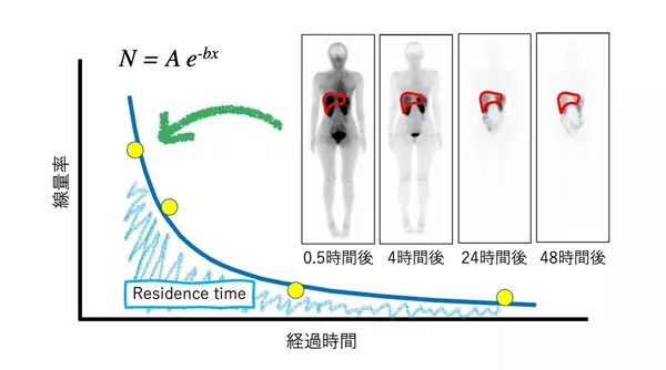 ペプチド受容体核医学内用療法（PRRT）における内部被曝線量推定