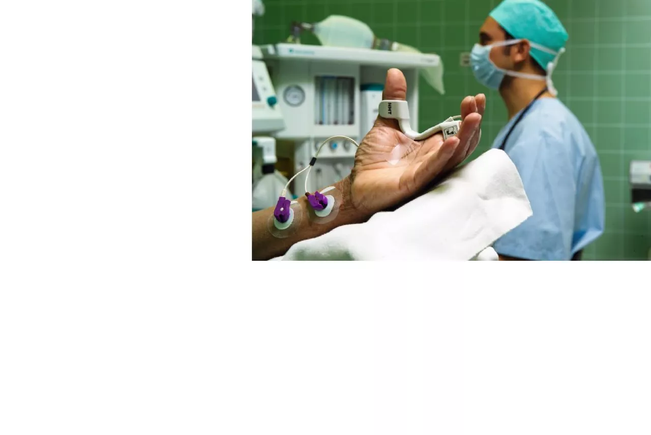 NMT Banner Image