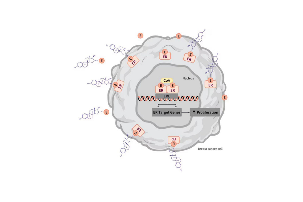 nuclear-imaging-agents-s-curve_1-ci-en