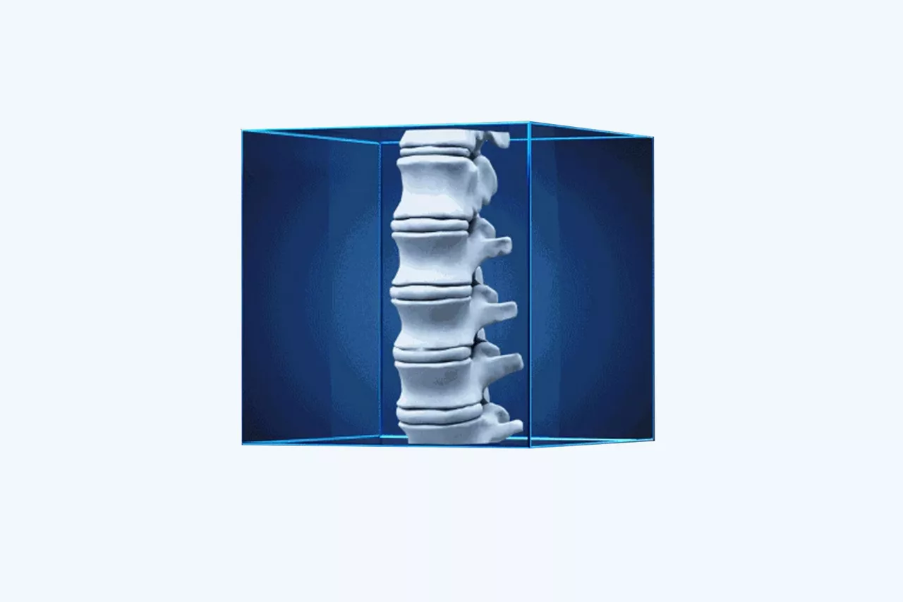 oec-3d-field-of-view-desktop