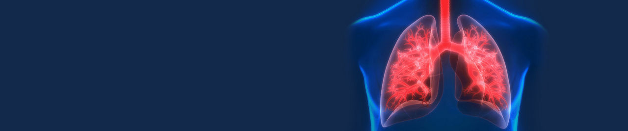 Scan image of lungs.