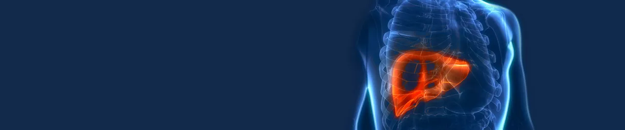 Liver Cancer