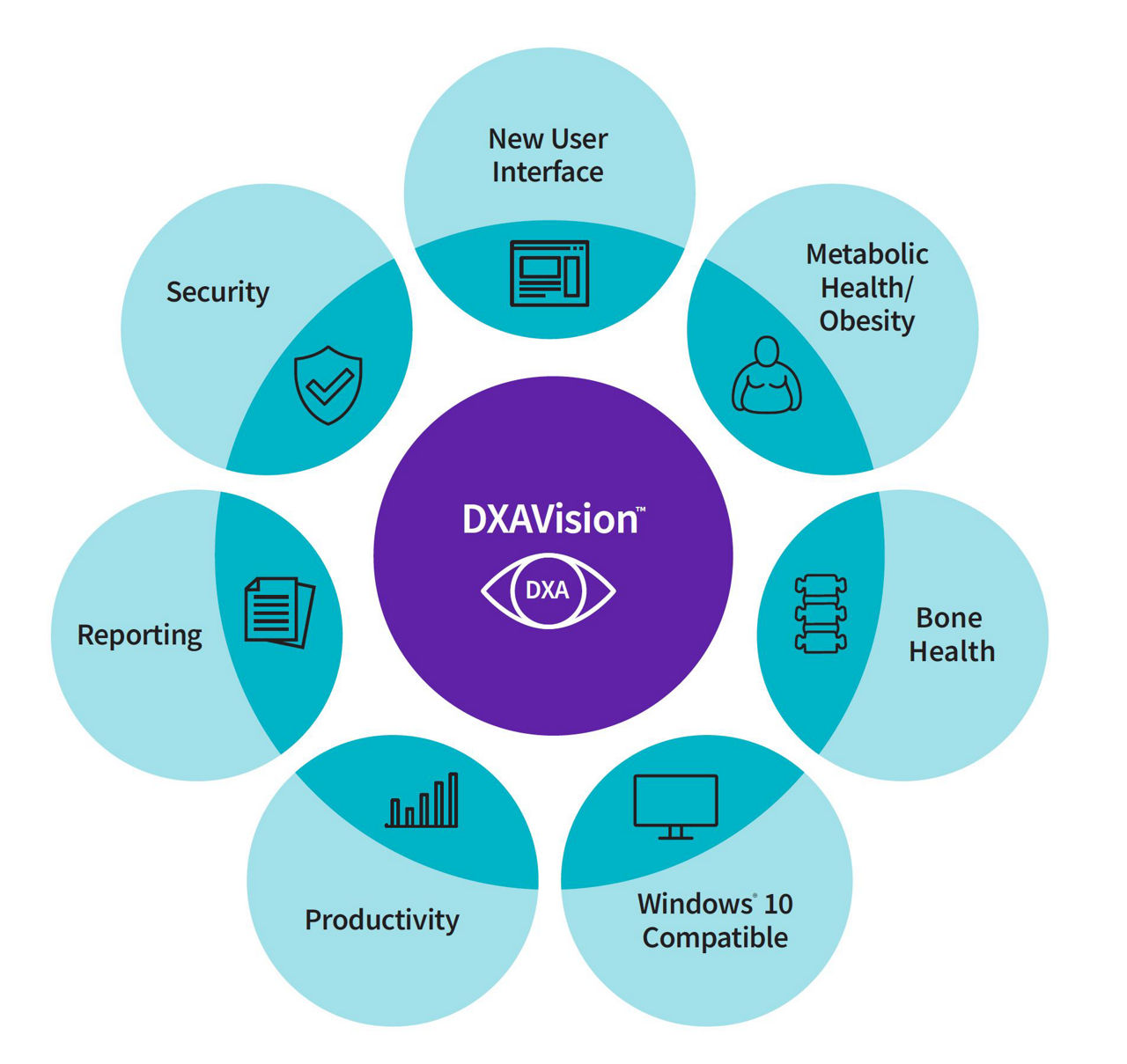 OneVision