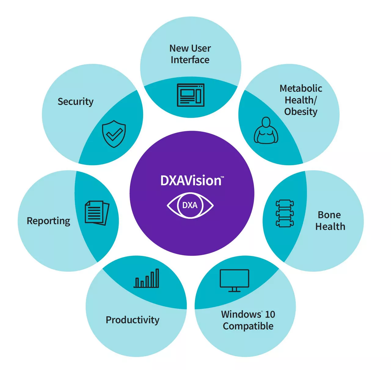 OneVision