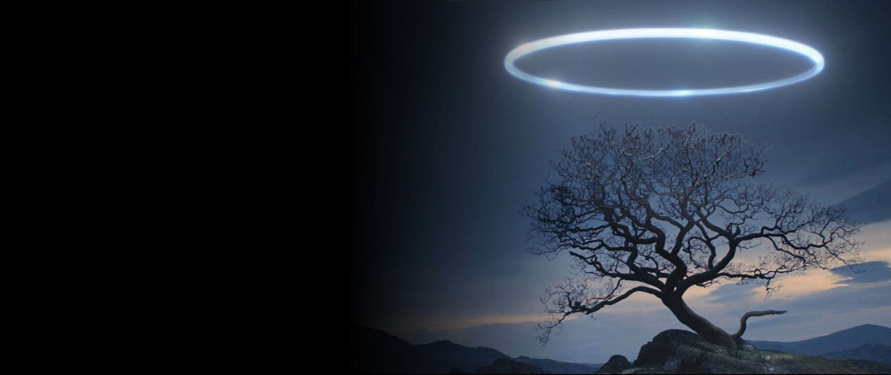 open-up-with-evo-ambient