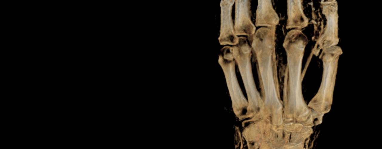 OrthoWorks-hero-desktop