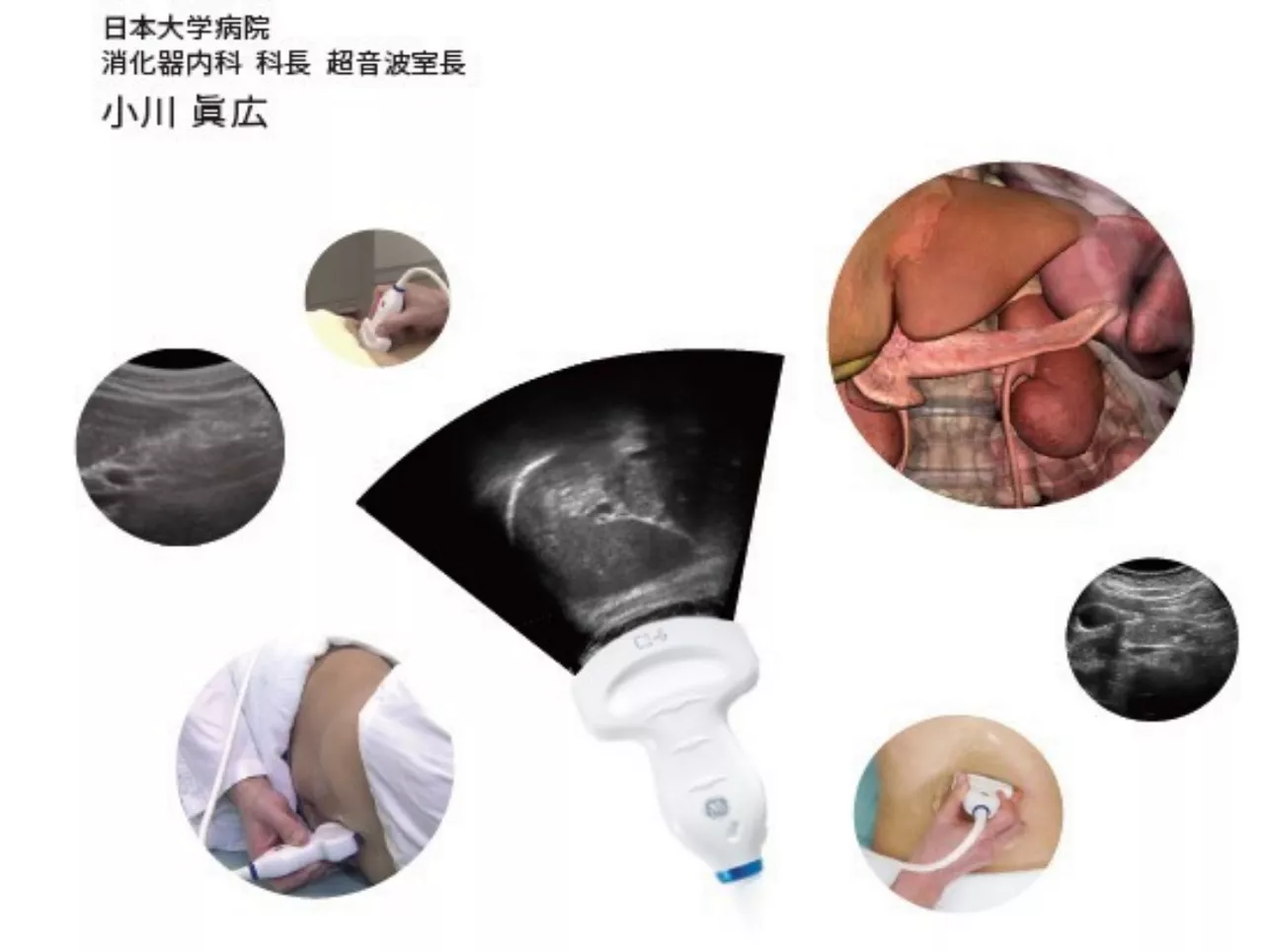 Pancreas Desktop